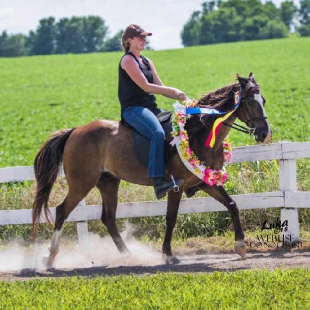 Meet your Posher, Riley